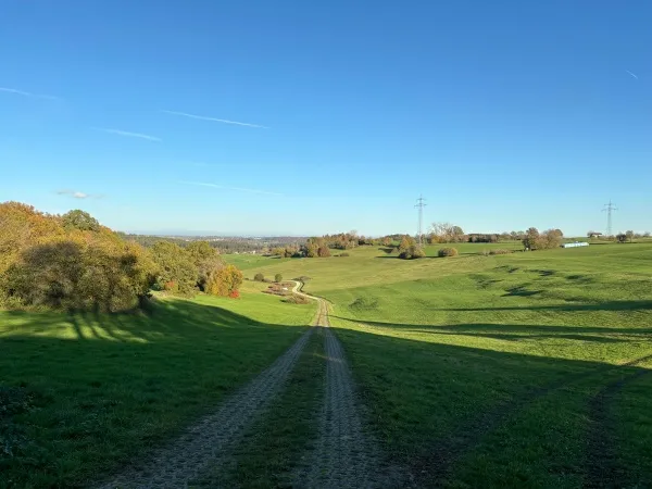 Blick über die grüne Landschaft in Neuler, Ostalbkreis – ideale Umgebung für Trockenbau- und Bauprojekte von Tomeks Trockenbau.