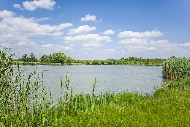 Landschaftlicher See in der Nähe von Jagstzell, umgeben von üppiger Natur und Schilfrohr – ideal für Naherholung und Naturgenuss im Ostalbkreis.